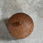 Coconut Palm Wood Turned Lidded Trinket Box | Natural Vascular Grain | Domed Lid | Folk Craft | Southeast Asia | Mid-Century | Vanity Jewelry Box