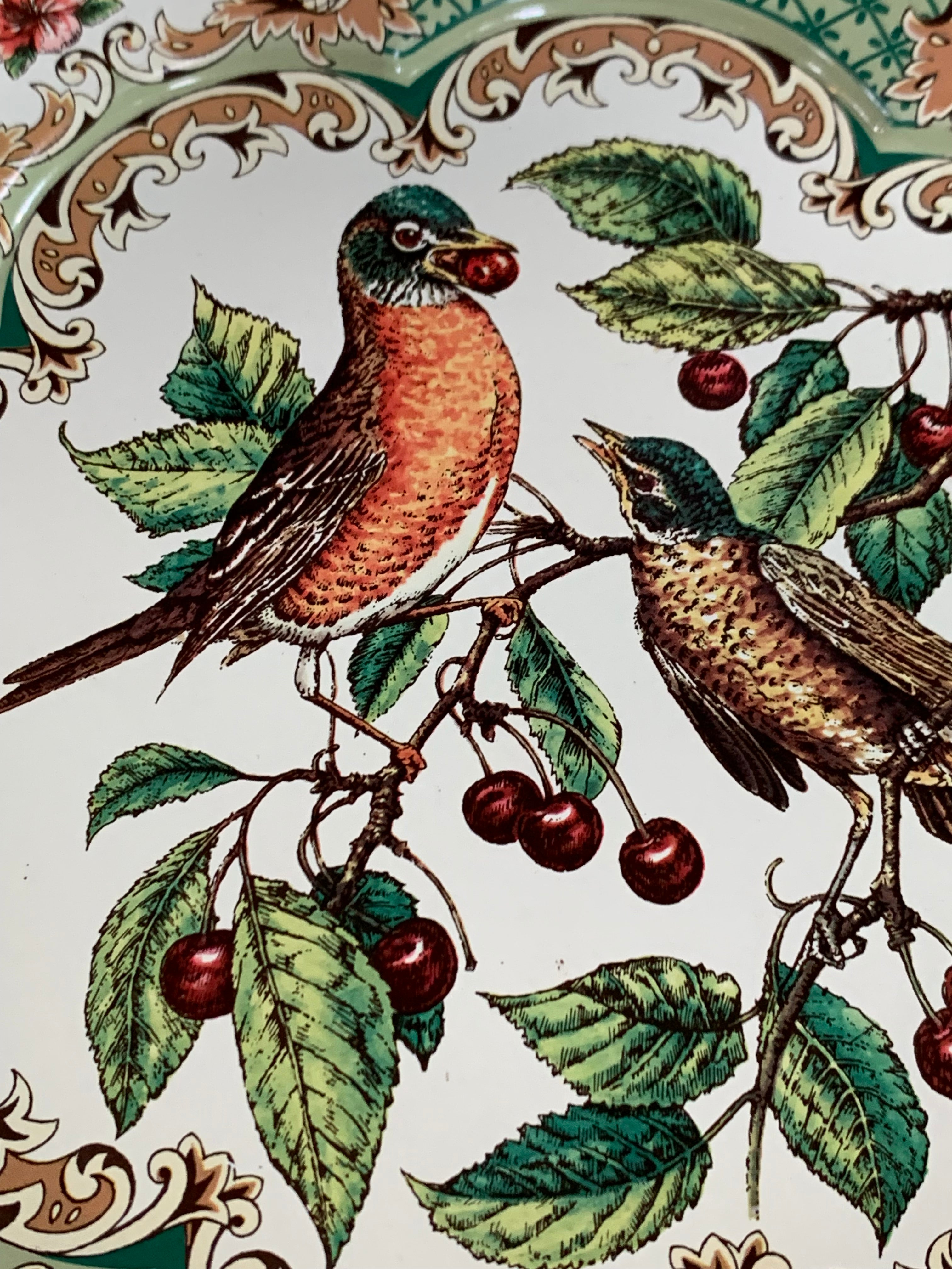 Daher Decorated Ware Bird and Cherry Tin Serving Tray, 1971